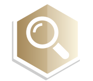 magnifying glass icon